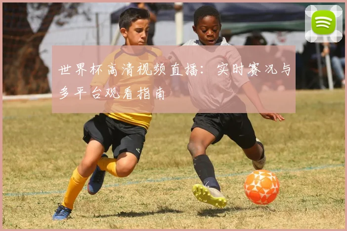 世界杯高清视频直播:实时赛况与多平台观看指南