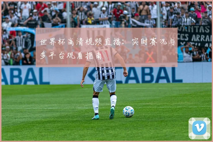 世界杯高清视频直播:实时赛况与多平台观看指南