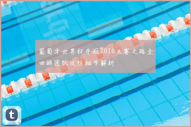 葡萄牙世界杯夺冠2016决赛之路全回顾团队攻防细节解析